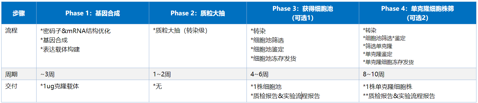 穩(wěn)轉(zhuǎn)細(xì)胞株構(gòu)建